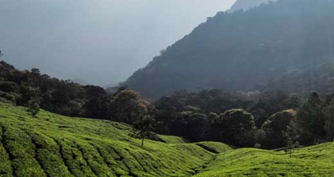 പ​ട്ട​യ​ത്തി​ലെ നി​യ​മ ഭേ​ദ​ഗ​തി  മ​ല​യോ​ര മേ​ഖ​ല​യ്ക്കു വി​ന​യാ​കും