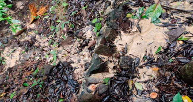 മലയോരത്തെ ഭാവിയിലെ ഭീഷണിയായി മ​ണ്ണി​ന​ടി​യി​ലെ മ​ണ്ണൊ​ലി​പ്പ്