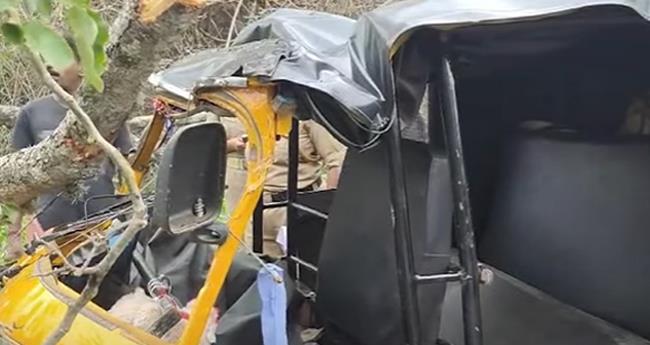 ഓ​ടി​ക്കൊ​ണ്ടി​രു​ന്ന ഓ​ട്ടോ​യ്ക്ക് മു​ക​ളി​ല്‍ മ​രം വീ​ണു; ഡ്രൈ​വ​ര്‍​ക്ക് പ​രി​ക്ക്