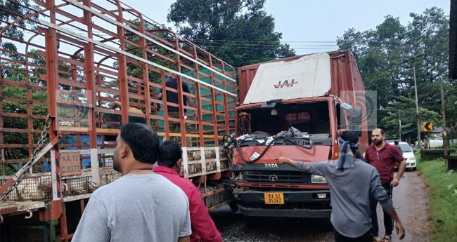 ചാ​വ​ശേ​രി​യി​ൽ ലോ​റി​ക​ൾ കൂ​ട്ടി​യി​ടി​ച്ച് അ​പ​ക​ടം; ഒ​രാ​ൾ​ക്ക് പ​രി​ക്ക്