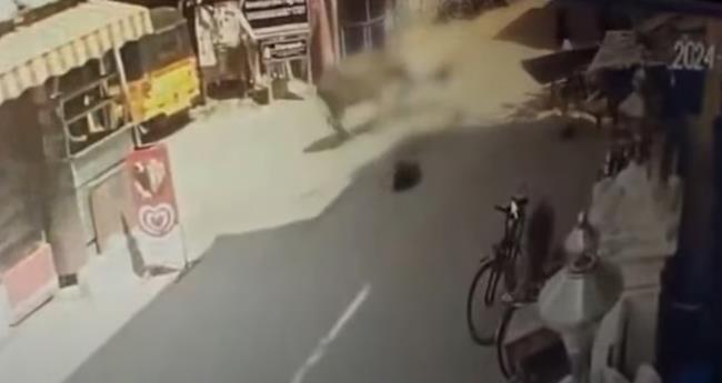 ചെ​ന്നൈ​യി​ല്‍ സ്ത്രീ​യെ എ​രു​മ കൊ​മ്പി​ല്‍ കു​ത്തി ചു​ഴ​റ്റി​യെ​റി​ഞ്ഞു; ഗു​രു​ത​ര പ​രി​ക്ക്
