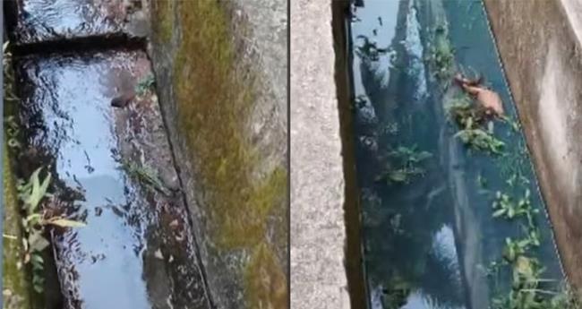 എ​ല​ത്തൂ​രി​ലെ ഇ​ന്ധ​ന ചോ​ര്‍​ച്ച; എ​ച്ച്പി​സി​എ​ല്ലി​ന് വീ​ഴ്ച ഉ​ണ്ടാ​യെ​ന്ന് ഡെ​പ്യൂ​ട്ടി ക​ള​ക്ട​ര്‍