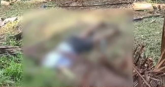 പ​ന്നി​ക്കെ​ണി​യി​ൽ കു​ടു​ങ്ങി​യ​ത​ല്ല; വി​രു​പ്പാ​ക്ക​യി​ലെ യു​വാ​വി​ന്‍റെ മ​ര​ണം ആ​ത്മ​ഹ​ത്യ​യെ​ന്ന് പോ​ലീ​സ്
