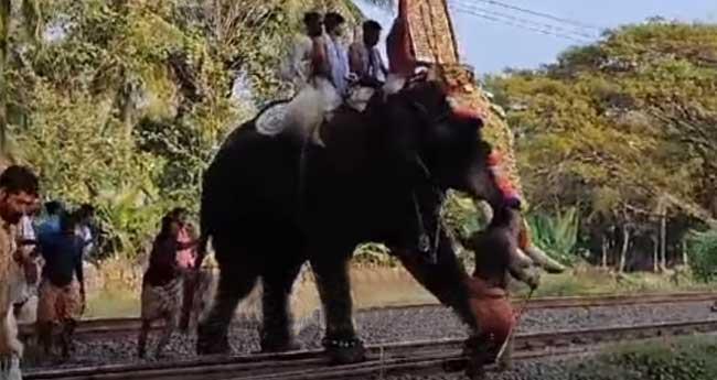 ആ​ന​യെ അ​പ​ക​ട​ക​ര​മാ​യ രീ​തി​യി​ൽ റെ​യി​ൽ പാ​ളം ക​ട​ത്തി​യ സം​ഭ​വ​ത്തി​ൽ കേ​സ്