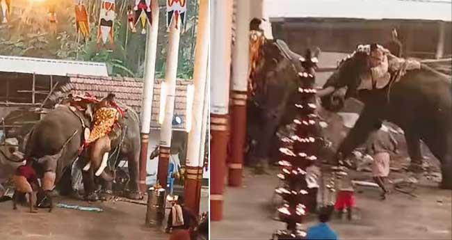 മ​ണ​ക്കു​ള​ങ്ങ​ര ദു​ര​ന്തം: ആ​ന​പാ​പ്പാ​ന്മാ​ര​ട​ക്കം ആ​റു​പേ​ര്‍ പ്ര​തി​ക​ള്‍
