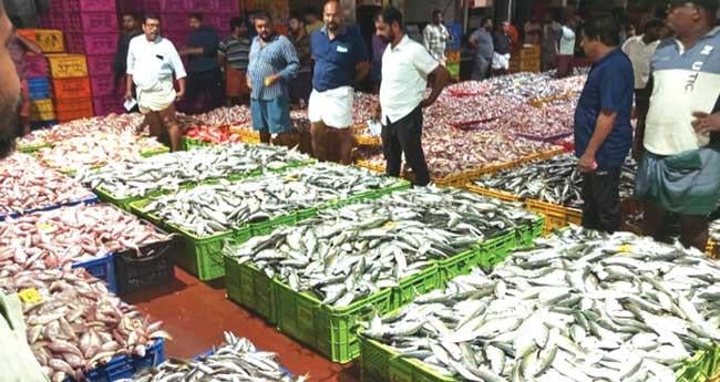കേ​ര​ള തീ​ര​ത്ത് ഇ​ന്ന് അ​ർ​ധ​രാ​ത്രി മു​ത​ൽ ട്രോ​ളിം​ഗ് നി​രോ​ധ​നം