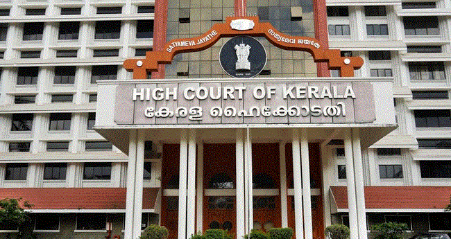 ഏ​ലൂ​രി​ല്‍ ആ​രോ​ഗ്യ സ​ര്‍​വേ ന​ട​ത്തു​ന്ന​ത് പ​രി​ഗ​ണി​ക്ക​ണ​മെ​ന്ന് ഹൈ​ക്കോ​ട​തി