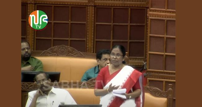 വ​യ​നാ​ട്ടി​ല്‍ സ​ര്‍​ക്കാ​ര്‍ ന​ട​ത്തി​യ​ത് മാ​തൃ​കാ​പ്ര​വ​ർ​ത്ത​നം: കെ.​കെ.​ശൈ​ല​ജ
