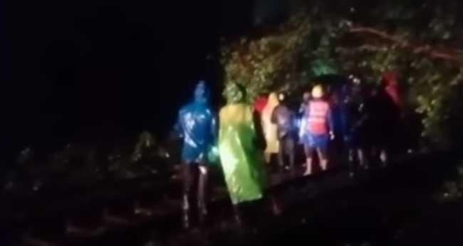 കൊ​ച്ചി​യി​ല്‍ മ​രം ഒ​ടി​ഞ്ഞു​വീ​ണ​തി​നെ തു​ട​ര്‍​ന്ന് ത​ട​സ​പ്പെ​ട്ട റെ​യി​ല്‍ ഗ​താ​ഗ​തം പു​നഃ​സ്ഥാ​പി​ച്ചു