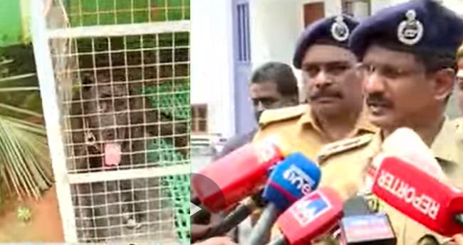 കോ​ട്ട​യ​ത്ത് നാ​യ്ക്ക​ളു​ടെ കാ​വ​ലി​ല്‍ ക​ഞ്ചാ​വ് ക​ച്ച​വ​ടം; റെ​യ്ഡി​നെ​ത്തി​യ പോ​ലീ​സി​ന് നേ​രെ പ​ട്ടി​ക​ളെ അ​ഴി​ച്ചു​വി​ട്ടു
