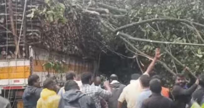 കു​മ​ളി​യി​ല്‍ വാ​ഹ​ന​ങ്ങ​ള്‍​ക്ക് മു​ക​ളി​ല്‍ മ​രം വീ​ണു; ഒ​രാ​ള്‍ കു​ടു​ങ്ങി