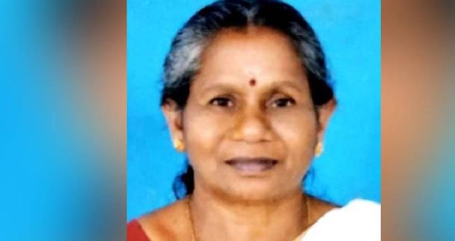 മാ​ന​ന്ത​വാ​ടി​യി​ല്‍ വ​ന​ത്തി​ലേ​ക്ക് പോ​യ വ​യോ​ധി​ക​യെ കാ​ണാതായി