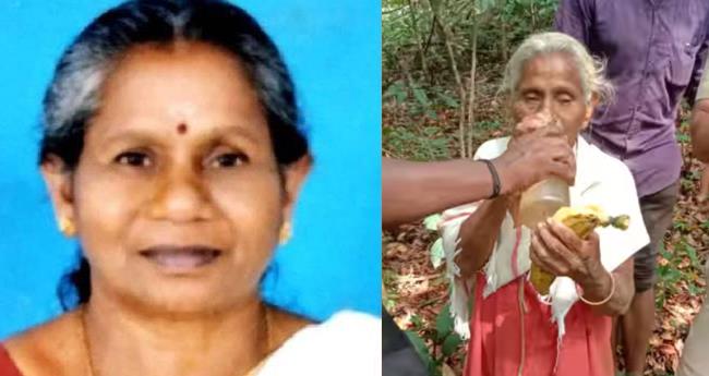 ഉ​ൾ​ക്കാ​ട്ടി​ൽ മൂ​ന്ന് ദി​വ​സം; വ​ന​ത്തി​നു​ള്ളി​ൽ കാ​ണാ​താ​യ വ​യോ​ധി​ക​യെ ക​ണ്ടെ​ത്തി