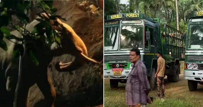 കു​ങ്കി​യാ​ന​ക​ളെ​ത്തി; കി​ണ​റ്റി​ൽ​നി​ന്നു ക​ര​ക​യ​റ്റി​യ കാ​ട്ടാ​ന​യെ ഉ​ൾ​ക്കാ​ട്ടി​ലേ​ക്ക് തു​ര​ത്തും