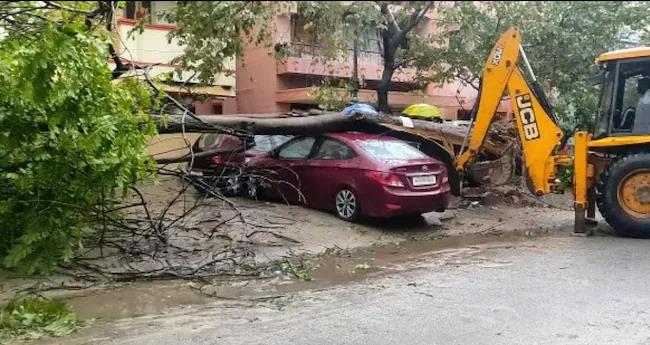 മാ​ന്‍​ഡ​സ് ചു​ഴ​ലി​ക്കാ​റ്റ് ക​ര​തൊ​ട്ടു; ചെ​ന്നൈ​യി​ല്‍ മ​ര​ങ്ങ​ള്‍ ക​ട​പു​ഴ​കി; വീ​ടു​ക​ള്‍ ത​ക​ര്‍​ന്നു