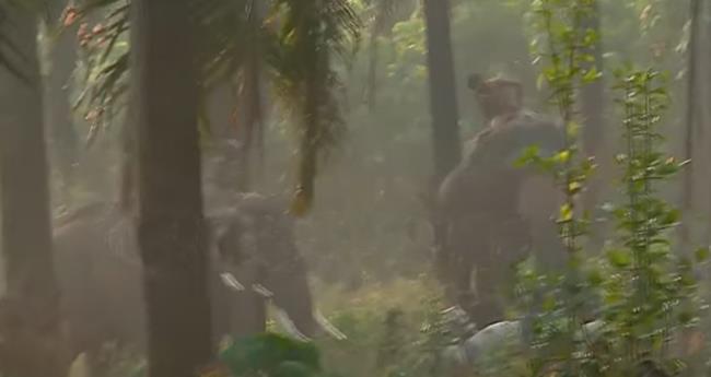 അ​തി​ര​പ്പി​ള്ളി​യി​ൽ മ​സ്ത​ക​ത്തി​ന് പ​രി​ക്കേ​റ്റ കൊ​മ്പ​നെ ക​ണ്ടെ​ത്തി മ​യ​ക്കു​വെ​ടി​വ​ച്ചു