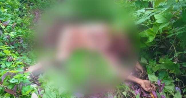 കാ​ളി​കാ​വി​ൽ പു​ലി ക​ടി​ച്ചു​കൊ​ണ്ടു​പോ​യ യു​വാ​വി​ന്‍റെ മൃ​ത​ദേ​ഹം ക​ണ്ടെ​ത്തി