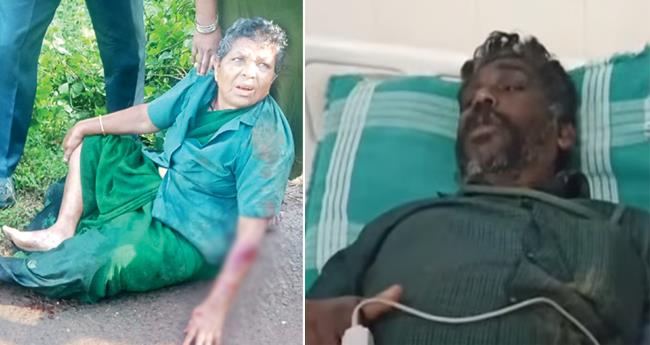 മൂ​ന്നാ​റി​ൽ കാ​ട്ടാ​ന ആ​ക്ര​മ​ണം: ര​ണ്ടു തൊ​ഴി​ലാ​ളി​ക​ള്‍​ക്കു പ​രി​ക്ക്