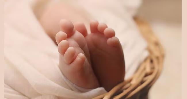 ഉ​ടു​മ്പ​ന്‍​ചോ​ല​യി​ല്‍ ന​വ​ജാ​ത​ശി​ശു മ​രി​ച്ച നി​ല​യി​ല്‍; മു​ത്ത​ശ്ശി​യെ അ​വ​ശ​നി​ല​യി​ലും ക​ണ്ടെ​ത്തി