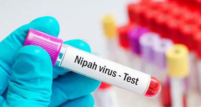 കോ​ഴി​ക്കോ​ട്ട് ചി​കി​ത്സ​യി​ൽ ക​ഴി​യു​ന്ന സ്ത്രീ​ക്ക് നി​പ​യ​ല്ലെ​ന്ന് സ്ഥി​രീ​ക​ര​ണം