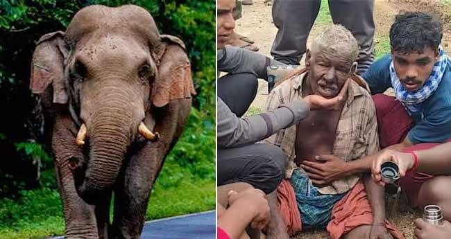 പാ​ല​ക്കാ​ട് കാ​ട്ടാ​ന ആ​ക്ര​മ​ണ​ത്തി​ൽ പ​രി​ക്കേ​റ്റ​യാ​ൾ മ​രി​ച്ചു