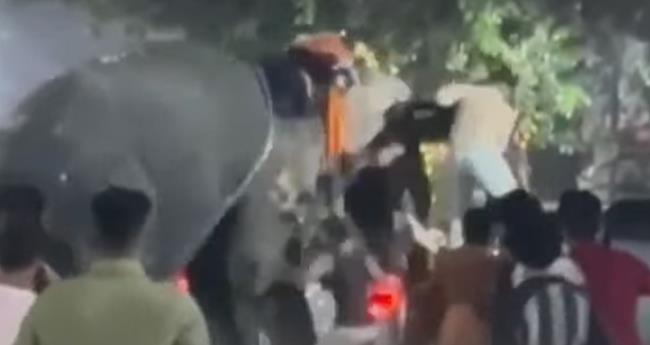 പാ​ല​ക്കാ​ട് നേ​ർ​ച്ച​യ്ക്കി​ടെ ഇ​ട​ഞ്ഞ ആ​ന പാ​പ്പാ​നെ കു​ത്തി​ക്കൊ​ന്നു