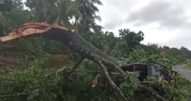 പാ​ല​ക്കാ​ട് മി​ന്ന​ല്‍ ചു​ഴ​ലി; നി​ര​വ​ധി മ​ര​ങ്ങ​ള്‍ ക​ട​പു​ഴ​കി; 14 വീ​ടു​ക​ള്‍ ത​ക​ര്‍​ന്നു