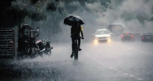 സം​സ്ഥാ​ന​ത്ത് ഇ​ന്ന് ശ​ക്ത​മാ​യ മ​ഴ​യ്ക്ക് സാ​ധ്യ​ത;​ ഏ​ഴ് ജി​ല്ല​ക​ളി​ൽ യെ​ല്ലോ അ​ല​ർ​ട്ട്