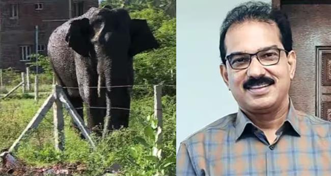 അ​രി​ക്കൊ​മ്പ​നെ കേ​ര​ള​ത്തി​ന് കൈ​മാ​റ​ണം; ഹൈ​ക്കോ​ട​തി​യി​ല്‍ ഹ​ര്‍​ജി​യു​മാ​യി സാ​ബു ​ജേ​ക്ക​ബ്