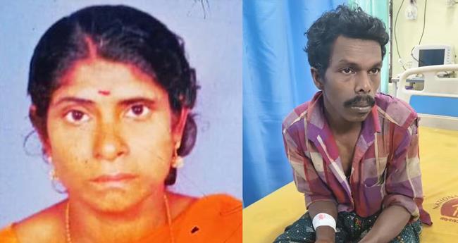പീ​രു​മേ​ട്ടി​ലെ സീ​ത​യു​ടെ മ​ര​ണം കൊ​ല​പാ​ത​ക​മെ​ന്ന് ക​ണ്ടെ​ത്ത​ല്‍; കാ​ട്ടാ​ന ആ​ക്ര​മ​ണ​ത്തി​ന്‍റെ ല​ക്ഷ​ണ​മി​ല്ല
