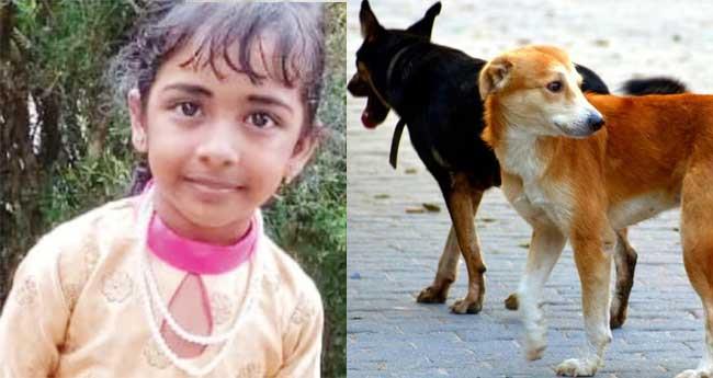 പേ​വി​ഷ വാ​ക്സി​ൻ എ​ടു​ത്തി​ട്ടും അ​ഞ്ചു​വ​യ​സു​കാ​രി മ​രി​ച്ച സം​ഭ​വം: ആ​രോ​ഗ്യ​വ​കു​പ്പ്  അ​ന്വേ​ഷി​ക്കും