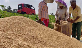 നെല്ലുവിലയ്ക്കായി ബാങ്കുകളില്‍ കയറിയിറങ്ങി കര്‍ഷകര്‍