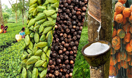 റിക്കാ​ർ​ഡ് തി​ള​ക്ക​വു​മാ​യി പ​വ​ൻ