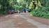 ഭൂമിക്കടിയിൽനിന്ന് മുഴക്കവും പ്രകമ്പനവും; കാഞ്ഞിരപ്പള്ളിയിൽ പരിഭ്രാന്തി
