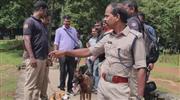 ബോം​ബ് ഭീ​ഷ​ണി; മു​ല്ല​പ്പെ​രി​യാ​ര്‍ ഡാ​മി​ല്‍ പോ​ലീ​സ് പ​രി​ശോ​ധ​ന ന​ട​ത്തി