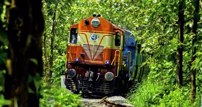 ട്രെ​യി​നി​ല്‍ യാ​ത്ര​ക്കാ​രി​യെ ക​ടി​ച്ച​ത് പാ​മ്പ​ല്ലെ​ന്ന് റെ​യി​ല്‍​വേ അ​ധി​കൃ​ത​ർ