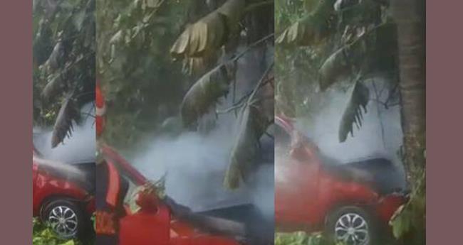 തി​രു​വ​ല്ല​യി​ൽ ഓ​ടി​ക്കൊ​ണ്ടി​രു​ന്ന കാ​റിനു മു​ക​ളി​ൽ തേ​ങ്ങ വീ​ണു; നി​യ​ന്ത്ര​ണം വി​ട്ട് വാ​ഹ​നം മ​ര​ത്തി​ൽ ഇ​ടി​ച്ച് തീ​പി​ടി​ച്ചു