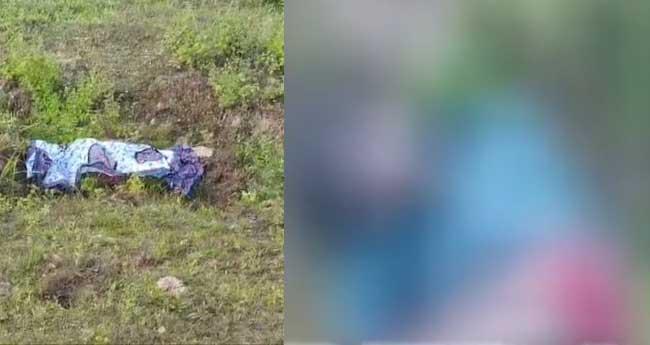 വീണ്ടും ജീവനെടുത്ത് കാട്ടാനക്കലി; നൂ​ൽ​പ്പു​ഴ​യി​ൽ യു​വാ​വി​ന് ദാ​രു​ണാ​ന്ത്യം