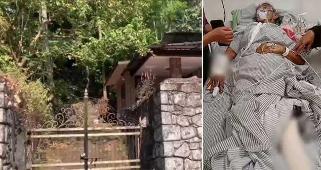 വീ​ട്ടു​മു​റ്റ​ത്തേ​ക്ക് പാ​ഞ്ഞെ​ത്തി കാ​ട്ടു​പ​ന്നി; റി​ട്ട. അ​ധ്യാ​പി​ക​യ്ക്ക് ഗു​രു​ത​ര പ​രി​ക്ക്