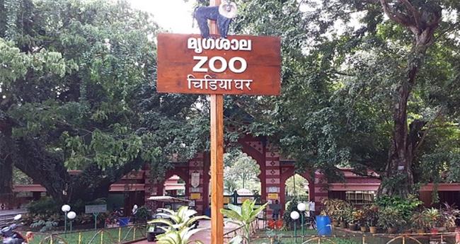 തി​രു​വ​ന​ന്ത​പു​രം മൃ​ഗ​ശാ​ല​യി​ൽ​നി​ന്ന് ഹ​നു​മാ​ൻ കു​ര​ങ്ങു​ക​ൾ ചാ​ടി​പ്പോ​യി