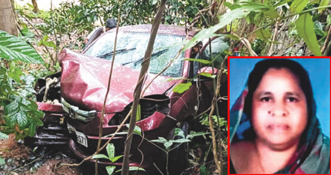 വാഗമൺ സന്ദർശിച്ചു മടങ്ങിയവരുടെ  കാ​ർ താ​ഴ്ച​യി​ലേ​ക്കു മ​റി​ഞ്ഞ്  മു​ത്ത​ശി​യും പി​ഞ്ചു​കു​ഞ്ഞും മ​രി​ച്ചു