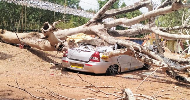 ഇ​ല​ക്‌​ഷ​ന്‍ വീ​ഡി​യോ സ​ര്‍വൈ​ല​ന്‍സ് ടീ​മി​ന്‍റെ വാ​ഹ​ന​ത്തി​നു മുകളി​ലേ​ക്കു മ​രം വീ​ണു