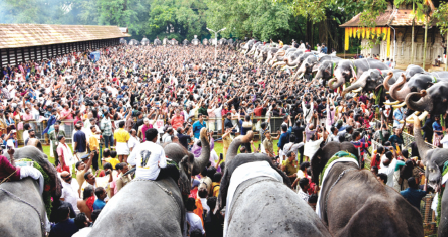 മ​ഴ​യൊ​ഴി​ഞ്ഞ ക​ർ​ക്ക​ട​ക​പ്പു​ല​രി​യി​ൽ  പൂ​ര​ന​ഗ​രി​ക്ക് ആ​ന​ച്ച​ന്തം