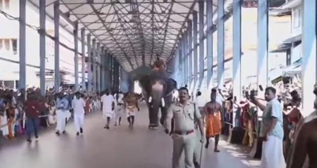 ഗു​രു​വാ​യൂ​ര്‍ ആ​ന​യോ​ട്ടം; ബാ​ലു ജേ​താ​വ്