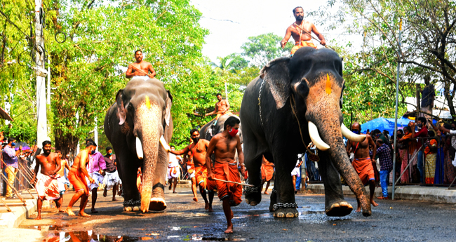 ഗു​രു​വാ​യൂ​ർ ആ​ന​യോ​ട്ടം; ഗോ​പീ​കൃ​ഷ്ണ​ന് അ​ട്ടി​മ​റി​വി​ജ​യം