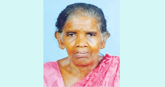 തൊഴിലുറപ്പ് ജോലിക്കുപോയ വയോധിക മരം വീണ് മരിച്ചു
