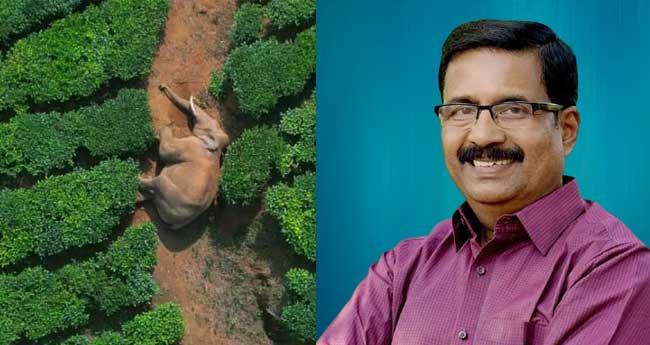 അ​രി​ക്കൊ​മ്പ​നെ പ​റ​മ്പി​ക്കു​ള​ത്തേ​ക്ക് കൊ​ണ്ടു​വ​രു​ന്ന​ത് എ​തി​ർ​ത്ത് നാ​ട്ടു​കാ​രും എംഎൽഎയും