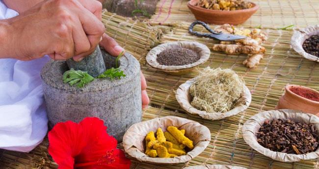 സം​സ്ഥാ​ന​ത്ത് നാ​ട്ടു വൈ​ദ്യ പ​ര​മ്പ​രാ​ഗ​ത പ​ഠ​ന കേ​ന്ദ്രം തു​ട​ങ്ങു​മെ​ന്ന് ധ​ന​മ​ന്ത്രി