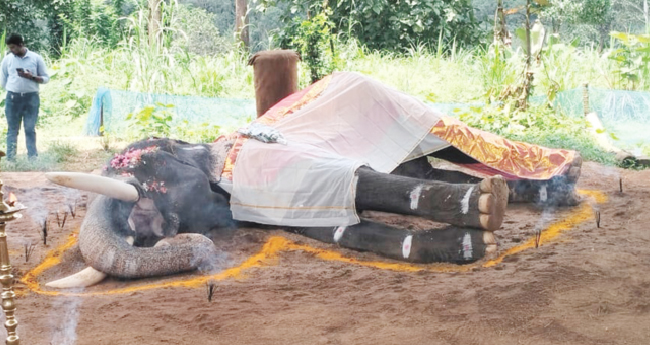 ഗജകേസരി ഈരാറ്റുപേട്ട അയ്യപ്പന്‍ ഇനി ഓര്‍മച്ചിത്രം