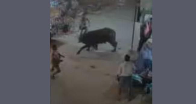 അ​മ്പ​ല​പ്പു​ഴ​യി​ൽ അ​റു​ക്കാ​നാ​യി എ​ത്തി​ച്ച പോ​ത്ത് വി​ര​ണ്ടോ​ടി, പി​ടി​കൂ​ടി​യ​ത് വാ​ട്ട​ർ ടാ​ങ്കി​ൽ​നി​ന്ന്